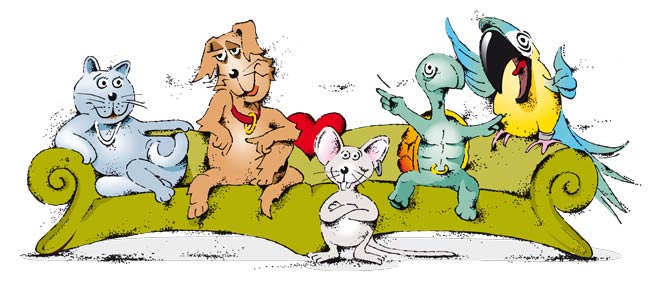 Sofa Tiere