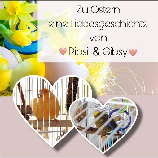 L'histoire d'amour de Pipsy & Gipsy