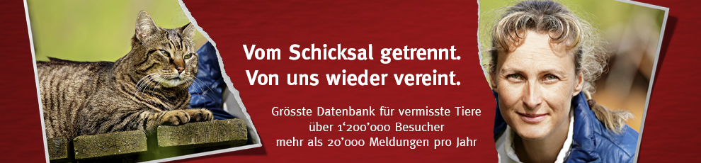 STMZ
