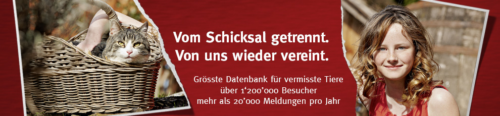 STMZ