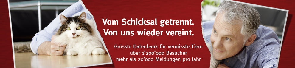 STMZ