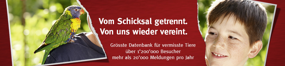 STMZ