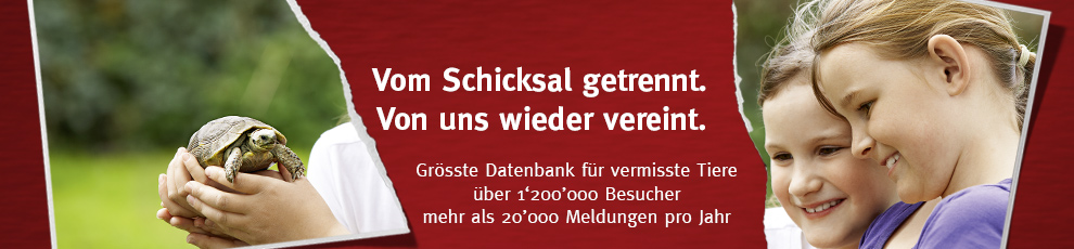 STMZ