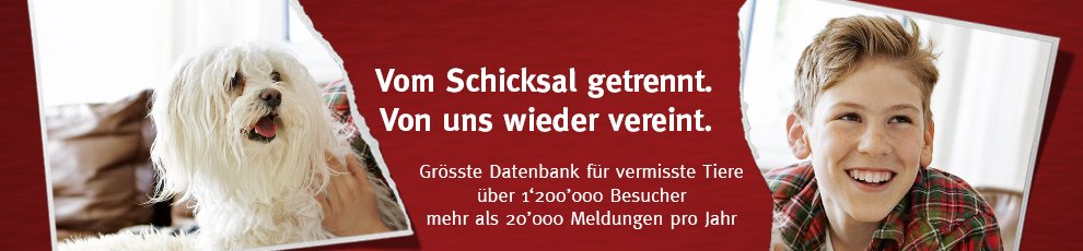 STMZ