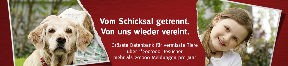 STMZ