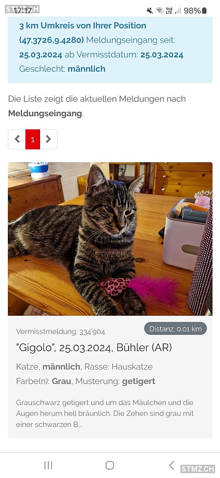 Gigolo — Hauskatze ♂, Vermisst seit 25.03.2024, Bühler (AR)