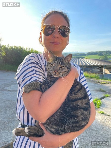 Guizmo — Hauskatze ♂, Vermisst seit 22.12.2025, Lossy (FR)