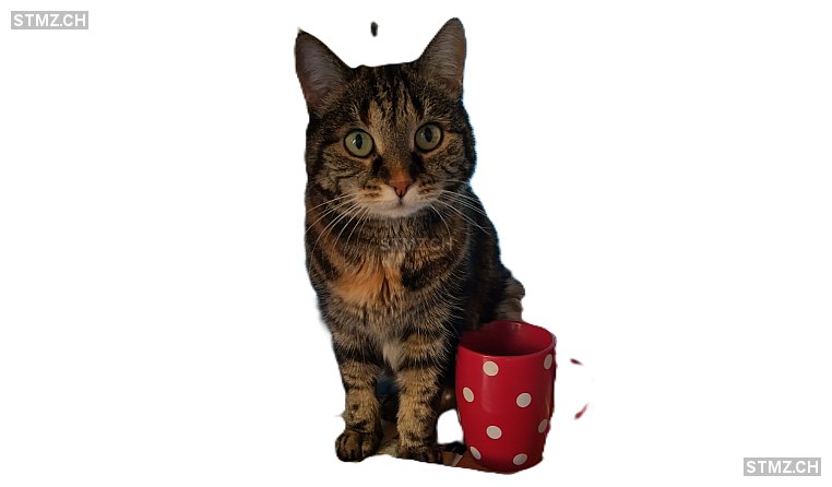 Louise / Loulou — Hauskatze ♀, Vermisst seit 05.02.2026, Zollikofen (BE)