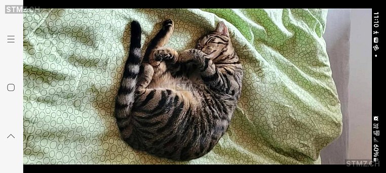 AROMATE — Katze ♂, Vermisst seit 12.03.2026, Sierre (VS)